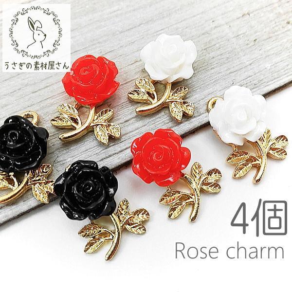 `[ KN 17mm [Y p[c  nhCh ANZT[ 4