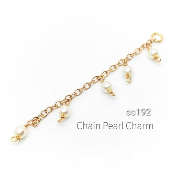 1�{ �S����55mm�O�� �p�[���t���`�F�[���`���[��