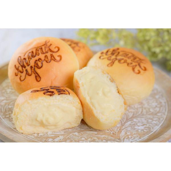 V MtgZbg َqp XC[c v~At[Y Thank you[ރp 5 12