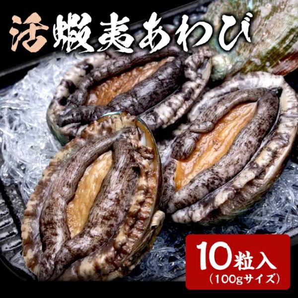 ゲリラP2倍 活アワビ 韓国 養殖 海鮮 魚介 魚介類 貝 あわび 高級 韓国産 養殖活エゾアワビ 100gサイズ 10粒入
