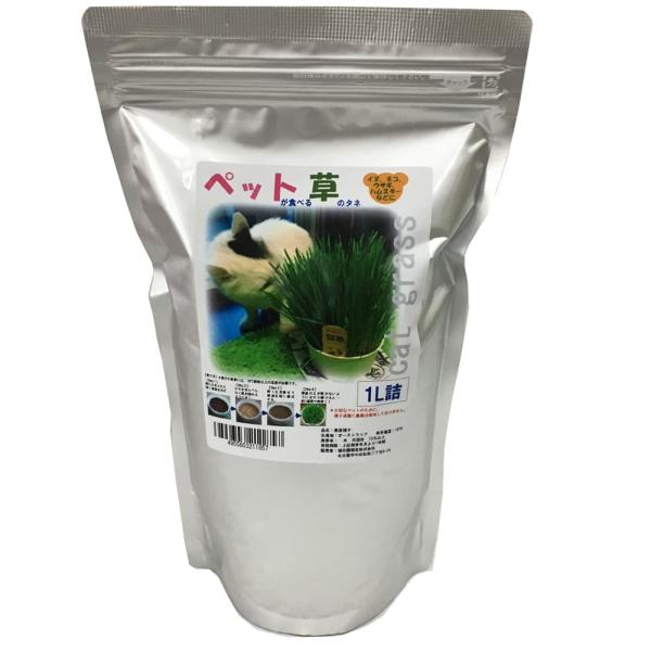 GoN L ԉc ybgHׂ鑐̃^l 1L q(_)