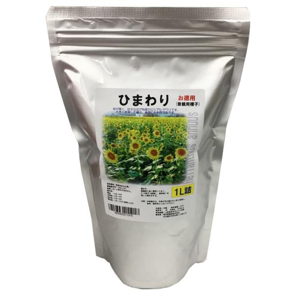 q} VAq} ԉc Ђ܂qiiϗpVAnЂ܂j1L