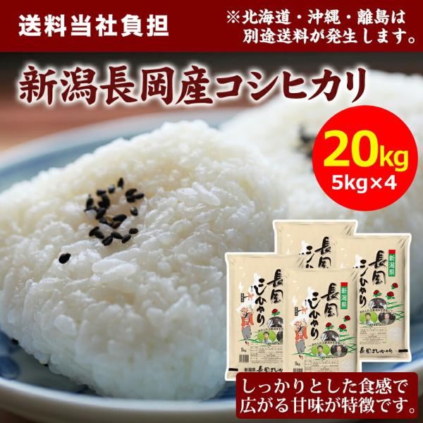 令和7年産】田中米穀 新潟長岡産コシヒカリ 20kg(5kg×4袋) お米 おこめ