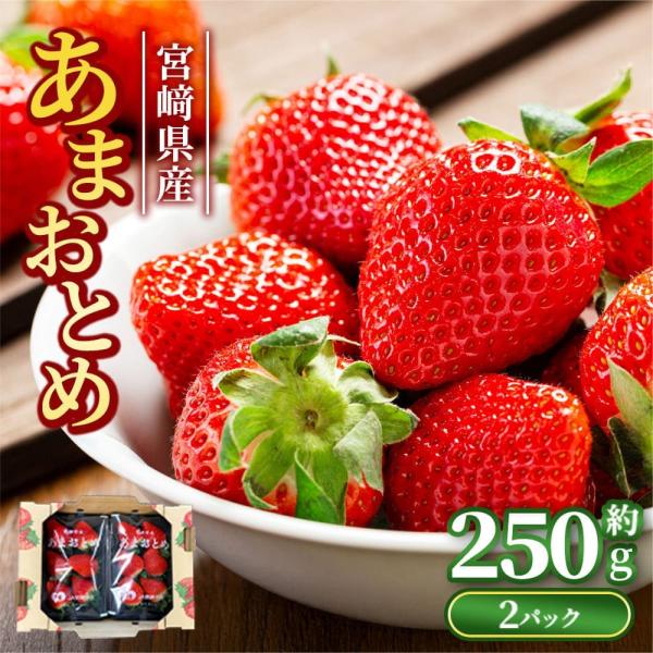 ◆商品説明[メーカー]楽彩[内容量]約250g(1パックあたり)[入数]2パック[産地]宮崎県