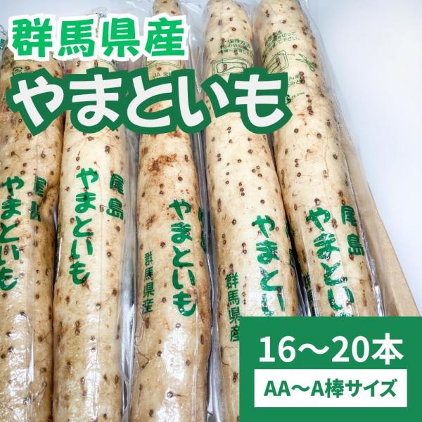 ◆商品説明[メーカー]丸進青果[産地]群馬県[内容量]約16〜20本[サイズ]AA〜A棒