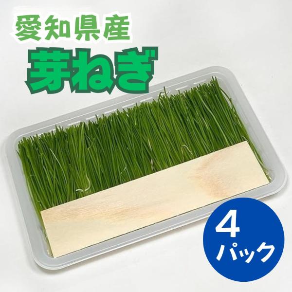 ◆商品説明[メーカー]丸進青果[産地]愛知県[内容量]4パック[1パックサイズ]8×12cm