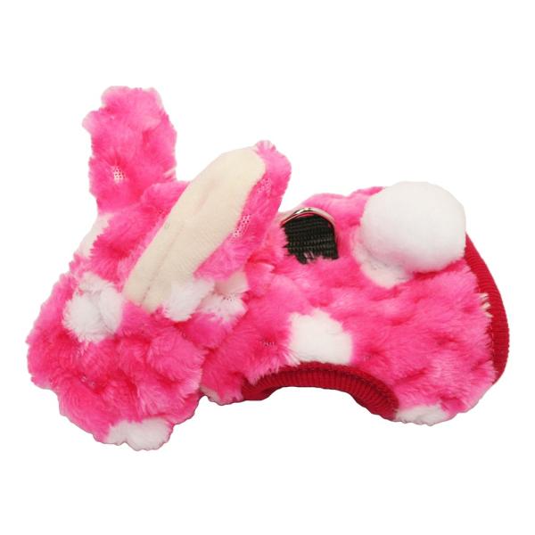 C{[@ferretitFbgj@n[lXEFA@l@ʂ@sNi[hȂj