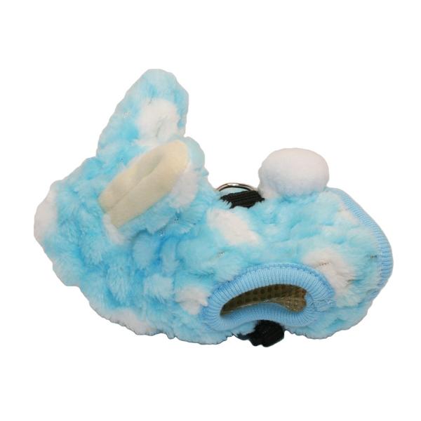 C{[@ferretitFbgj@n[lXEFA@r@ʂ@u[i[hȂj