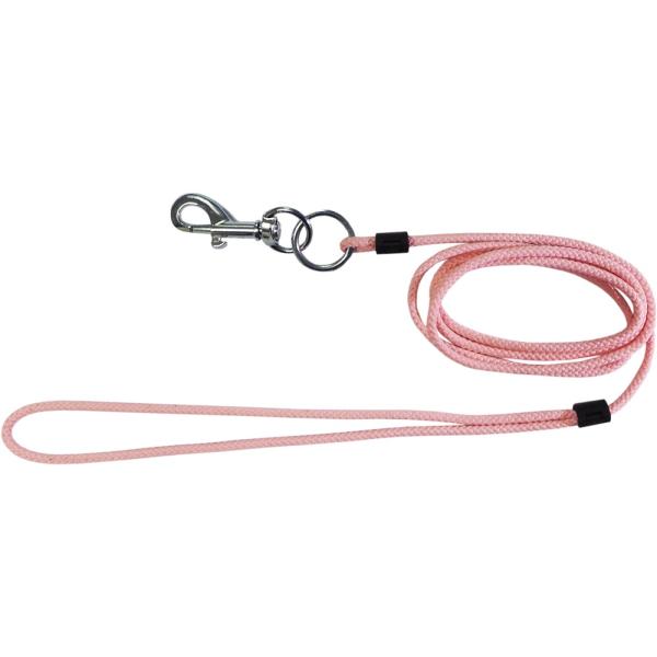 小動物用のリードが登場です。ランランハーネス等の単品のハーネスと組み合わせてご使用ください。【サイズ】リード：約１２３ｃｍ（金具含む）【素材】ポリエステル【原産国】フィリピン【販売元】レインボー　大阪府摂津市商品の色、柄、素材等は予告なく変...