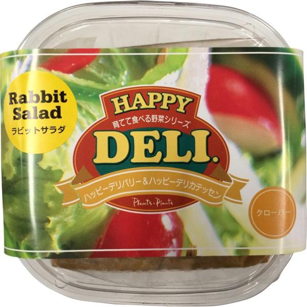 s[c[EAhEA\VGCc@nbs[f@rbgT_͔|Zbg@N[o[@[؁A쑐Anbs[zfC]