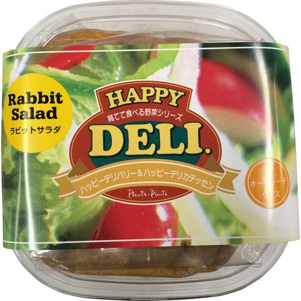 s[c[EAhEA\VGCc@nbs[f@rbgT_͔|Zbg@I[`[hOX@[؁A쑐Anbs[zfC]