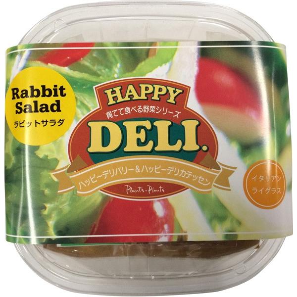 s[c[EAhEA\VGCc@nbs[f@rbgT_͔|Zbg@C^ACOX@[؁A쑐Anbs[zfC]