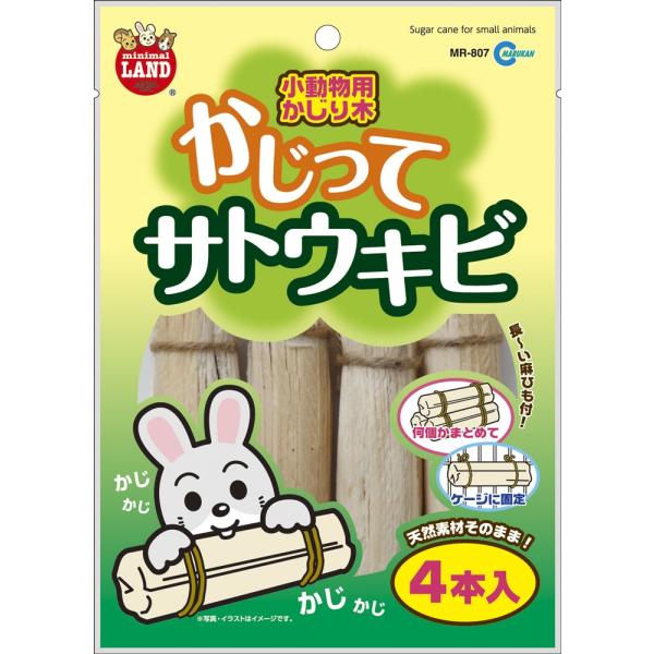 かじることで歯の健康をサポートします。天然サトウキビでできたかじり木なので安心です。長い麻ひも付きだから固定もできて便利!!【サイズ】W150xD25xH210mm【内容量】4本入り【販売元】マルカン　大阪府大阪市