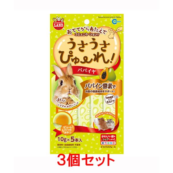 コミュニケーションをとりながら、もっとなかよく！おててから、お皿から、お好みの与え方が選べる 新しいピューレタイプのおやつです。保存料・合成着色料 不使用パパイン酵素でお腹の健康維持をサポート！【原材料】パパイヤ果汁（６倍濃縮）・糖類（ショ...