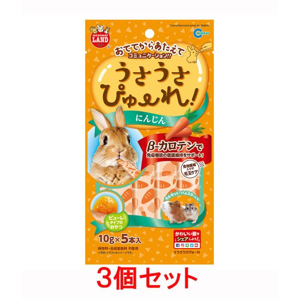 コミュニケーションをとりながら、もっとなかよく！おててから、お皿から、お好みの与え方が選べる 新しいピューレタイプのおやつです。保存料・合成着色料 不使用β-カロテンで免疫機能の健康維持をサポート！【原材料】にんじん果汁（７倍濃縮）・糖類（...