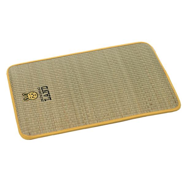 usausarabbitry_4906456570363_1_d_20260402175628