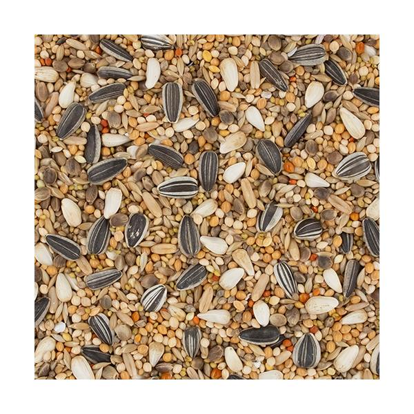 usausarabbitry_4932804366135-03_1_d_20250911183729