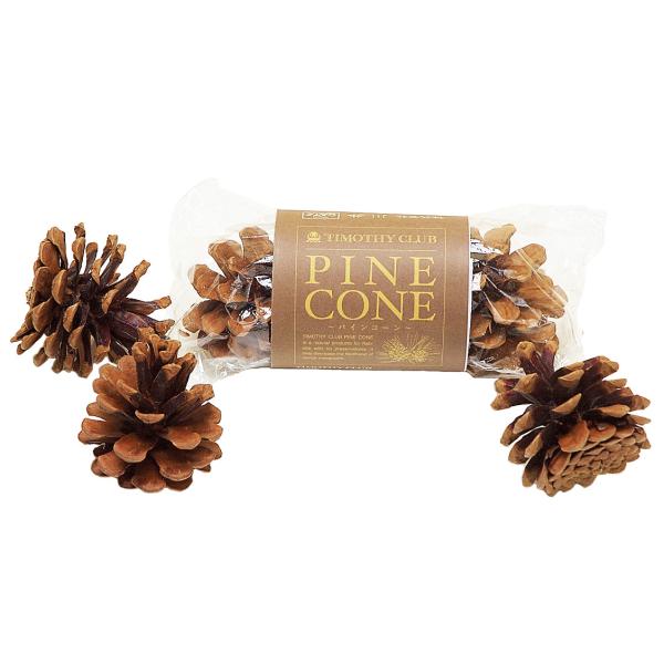 ＫＡＷＡＩ　川井　ＰＩＮＥ　ＣＯＮＥ（パインコーン）