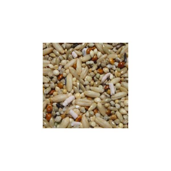 usausarabbitry_4972228292009_1