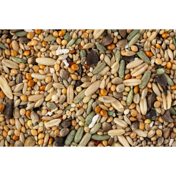 usausarabbitry_4972228294409-03_1_d_20240704185400