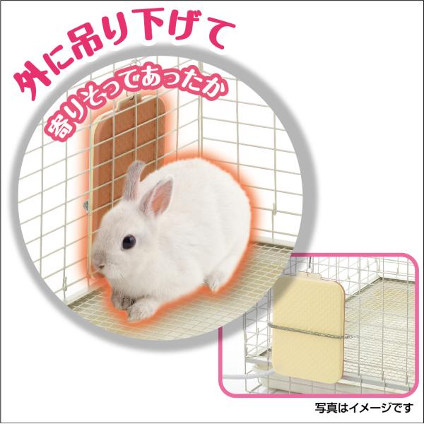 usausarabbitry_4972547034243_3_d_20251021181101