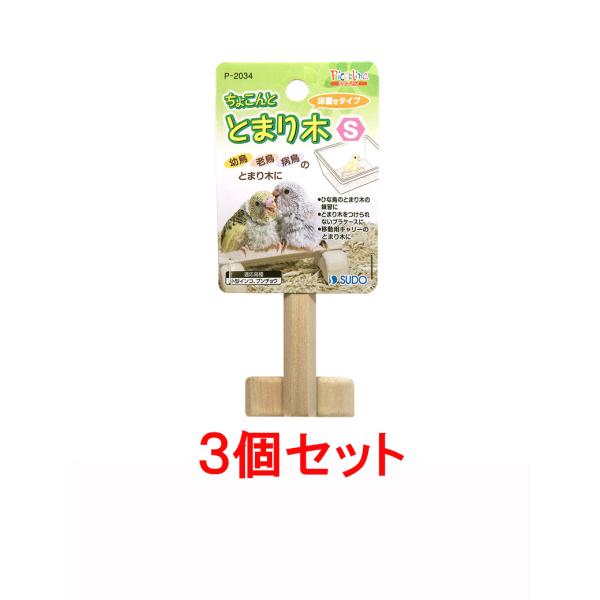 yzyRZbgz Xh[@ 傱ƂƂ܂ r×RZbg