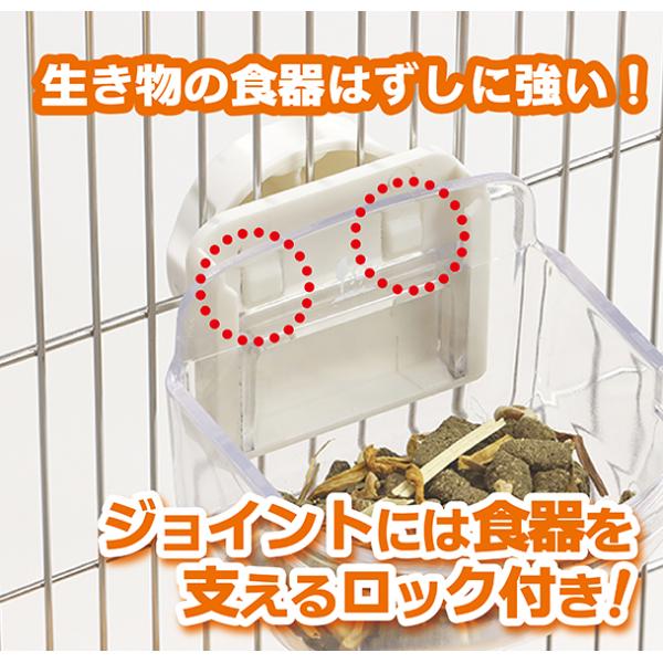 usausarabbitry_4976285105319_3_d_20260309184823