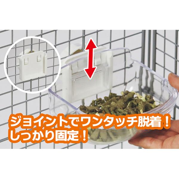 usausarabbitry_4976285105326_2_d_20260309185323