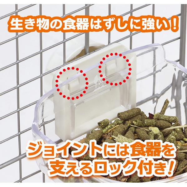 usausarabbitry_4976285105326_3_d_20260309185327