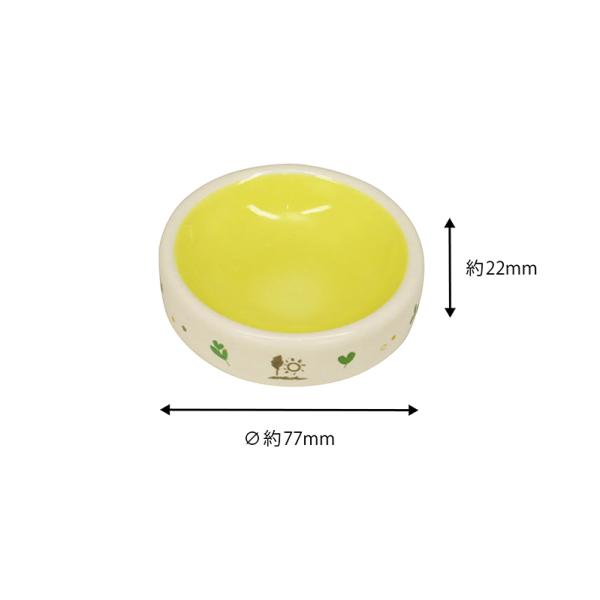 usausarabbitry_4976285106095_1_d_20260311183313