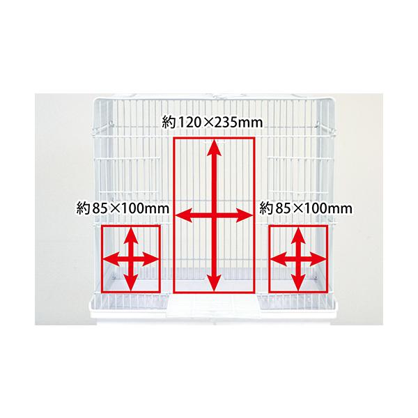 usausarabbitry_4976285128417_3_d_20240427165225