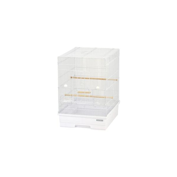 usausarabbitry_4976285128424_1_d_20241206181714