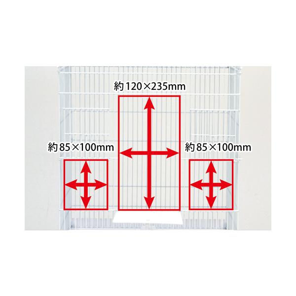 usausarabbitry_4976285128424_3_d_20241206181726