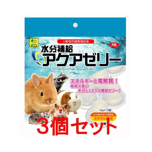 yzyRZbgz OW@TR[@ ⋋@ANA[[i16×10pbNj×RZbg