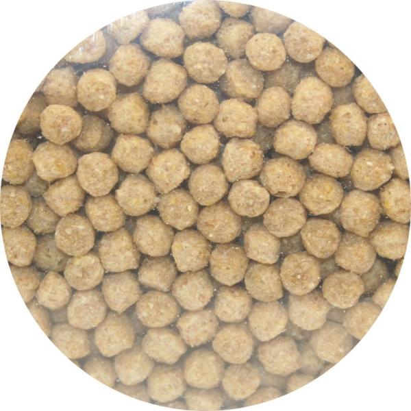 usausarabbitry_762177922003_1_d_20260119185234