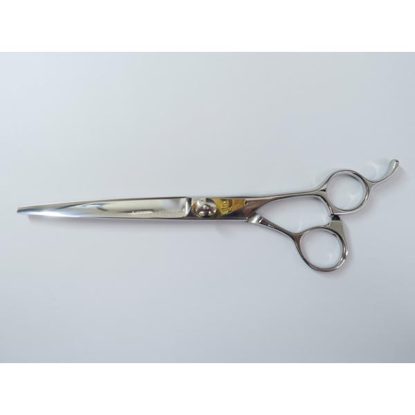 used-scissors_rc-itgfh3xlp240-nn2p