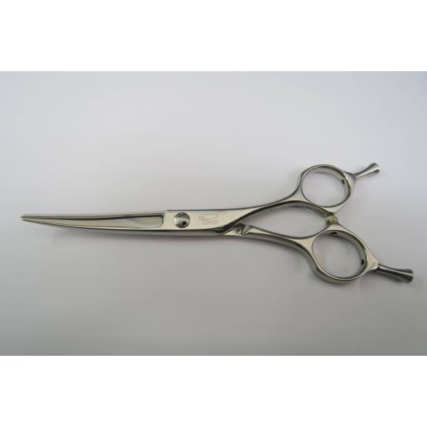 Bランク トギノン TOGINON R5.5シザー 美容師・理容師 5.5インチ 右