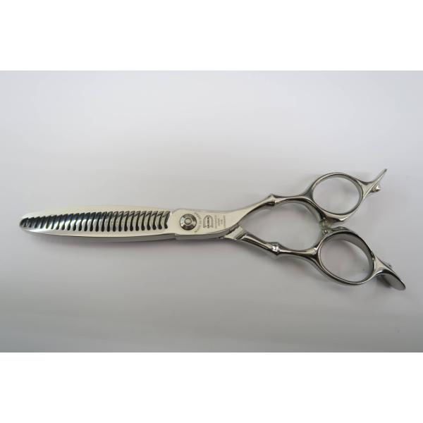 Cランク トギノン TOGINON DYNA SAURUS ダイナザウルス リバース6.1