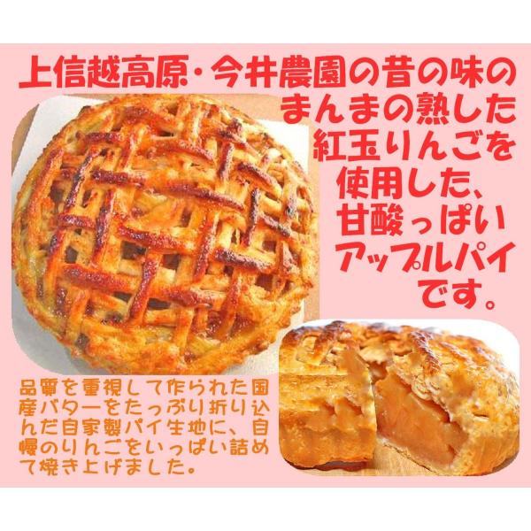 バースデー クリスマス お歳暮 贈り物 誕生日 アップルパイおすすめ 美味しいアップルパイお取り寄せ 紅玉りんごのアップルパイ6 5号 Buyee Buyee 日本の通販商品 オークションの代理入札 代理購入