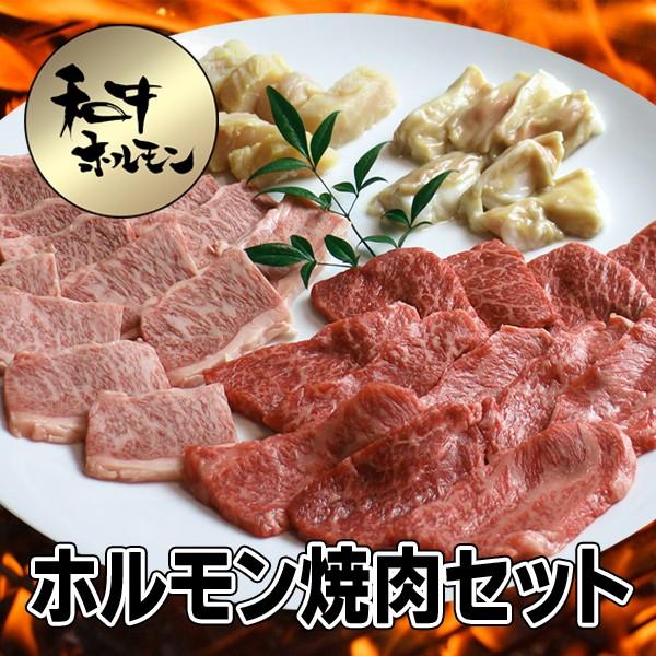 うし源本店 大和榛原牛 A5 ホルモン焼肉セット 900g （牛たん：100g