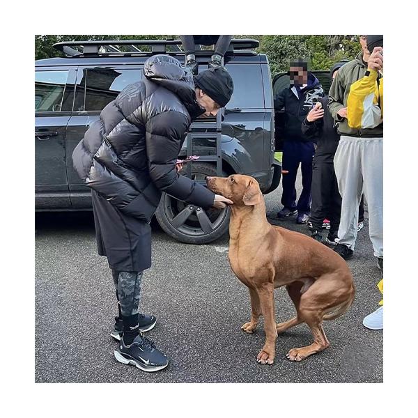 SYNA WORLD WAVE PUFFER JACKET ダウンジャケット 【BLACK