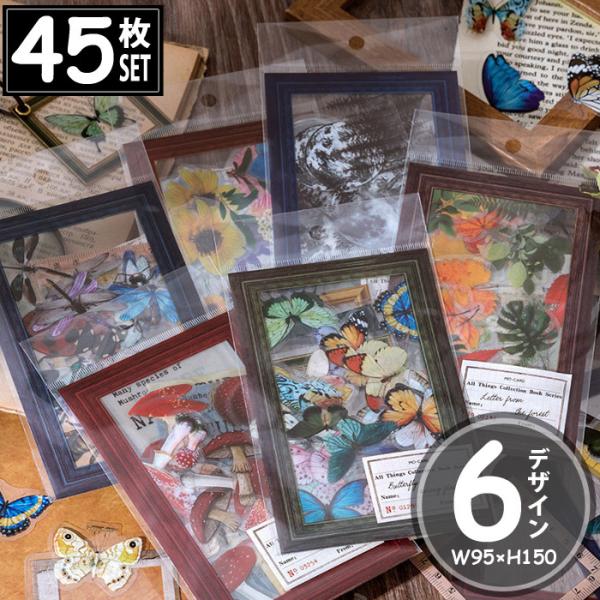 45 V[  LmR   XebJ[ fRXebJ[ AeB[N R[W g ϐ