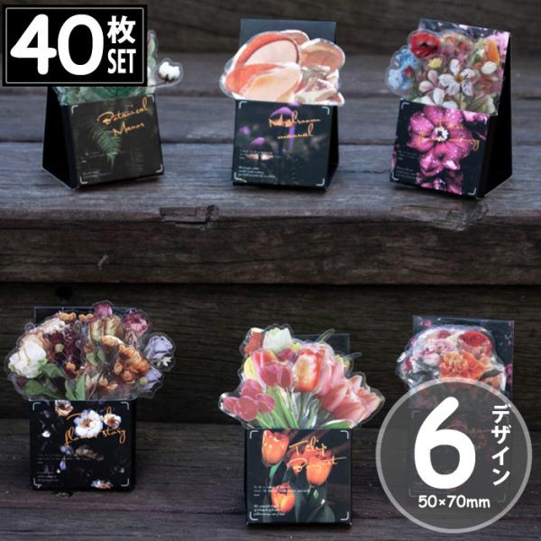 40 V[  t[ LmR XebJ[ fRXebJ[ AeB[N R[W g ϐ