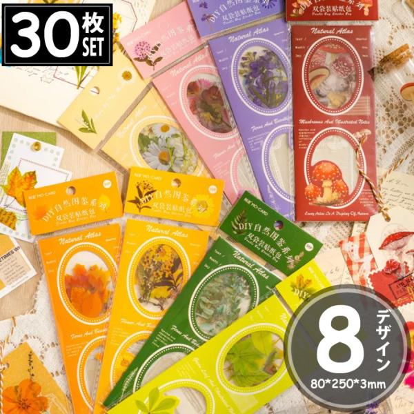 30 V[ t[  r t ʐ^ AeB[N re[W XebJ[ fRXebJ[ AeB[N R[W g