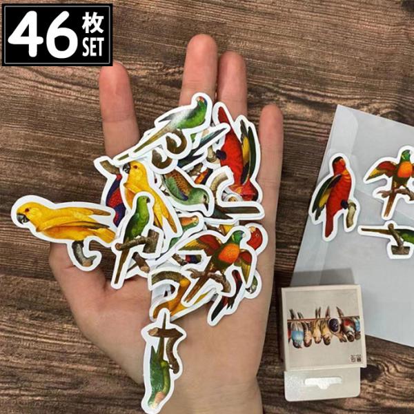 46 V[  IE CXg AeB[N re[W fRXebJ[ AeB[N R[W g