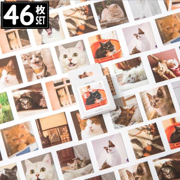 46 V[ L ʐ^ CXg AeB[N re[W fRXebJ[ AeB[N R[W g