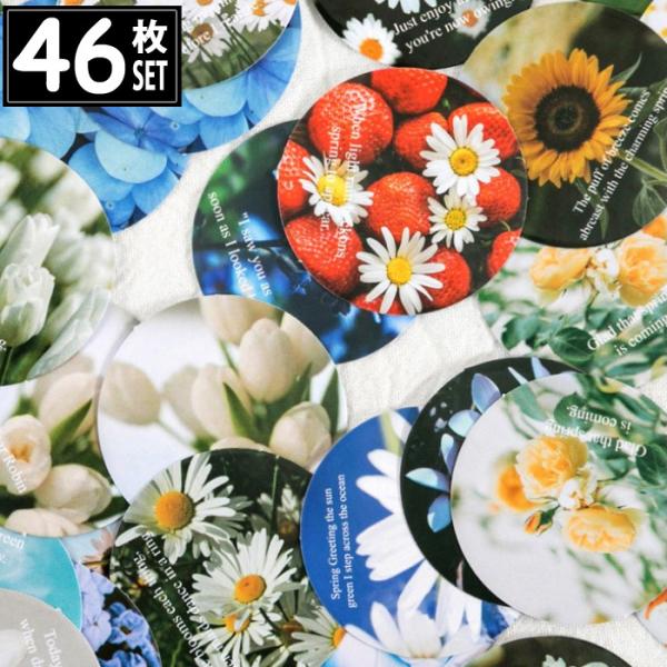 46 V[  ʐ^ CXg AeB[N re[W fRXebJ[ AeB[N R[W g