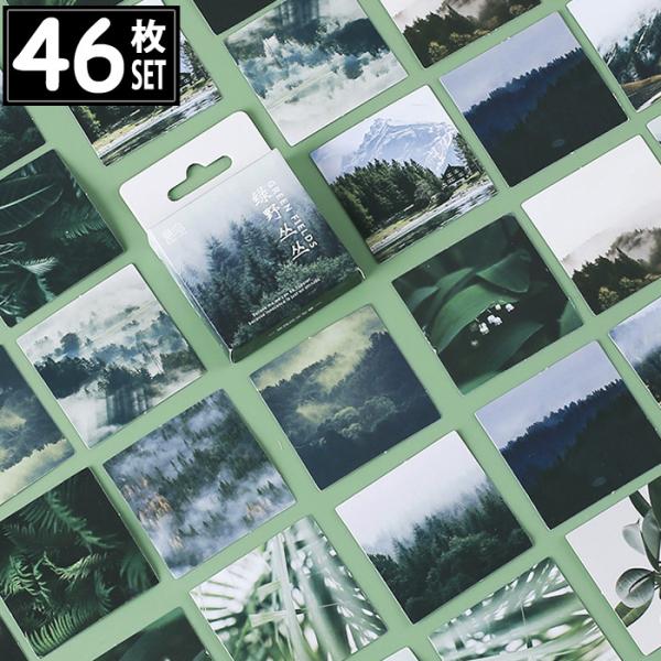 46 V[  ʐ^ CXg AeB[N re[W fRXebJ[ AeB[N R[W g