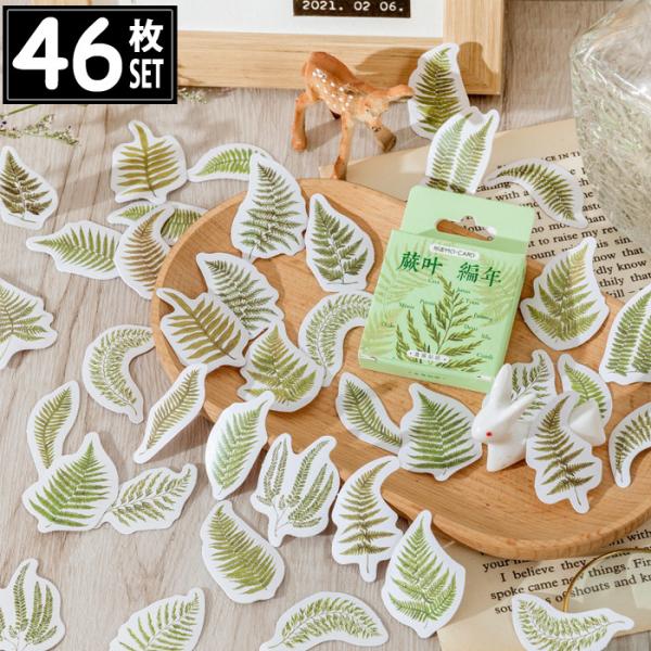 46 V[ [t t CXg AeB[N re[W fRXebJ[ AeB[N R[W g