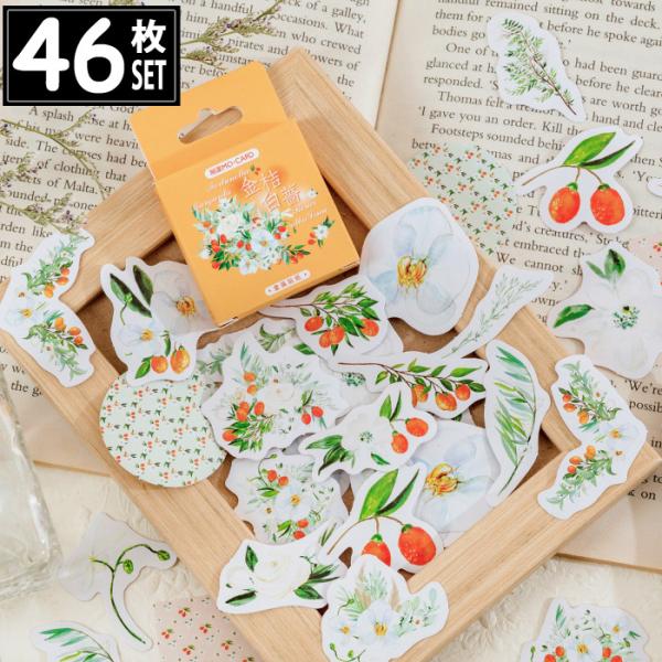 46 V[ LJ  CXg AeB[N re[W fRXebJ[ AeB[N R[W g